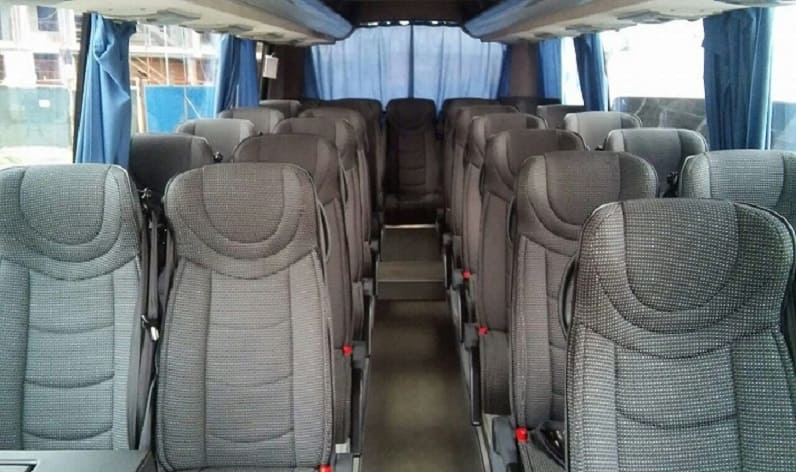 Germany: Coach hire in Hesse in Hesse and Mühlheim am Main